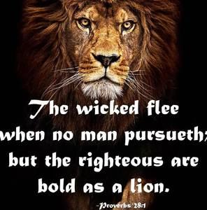 Meet your Posher, Donald